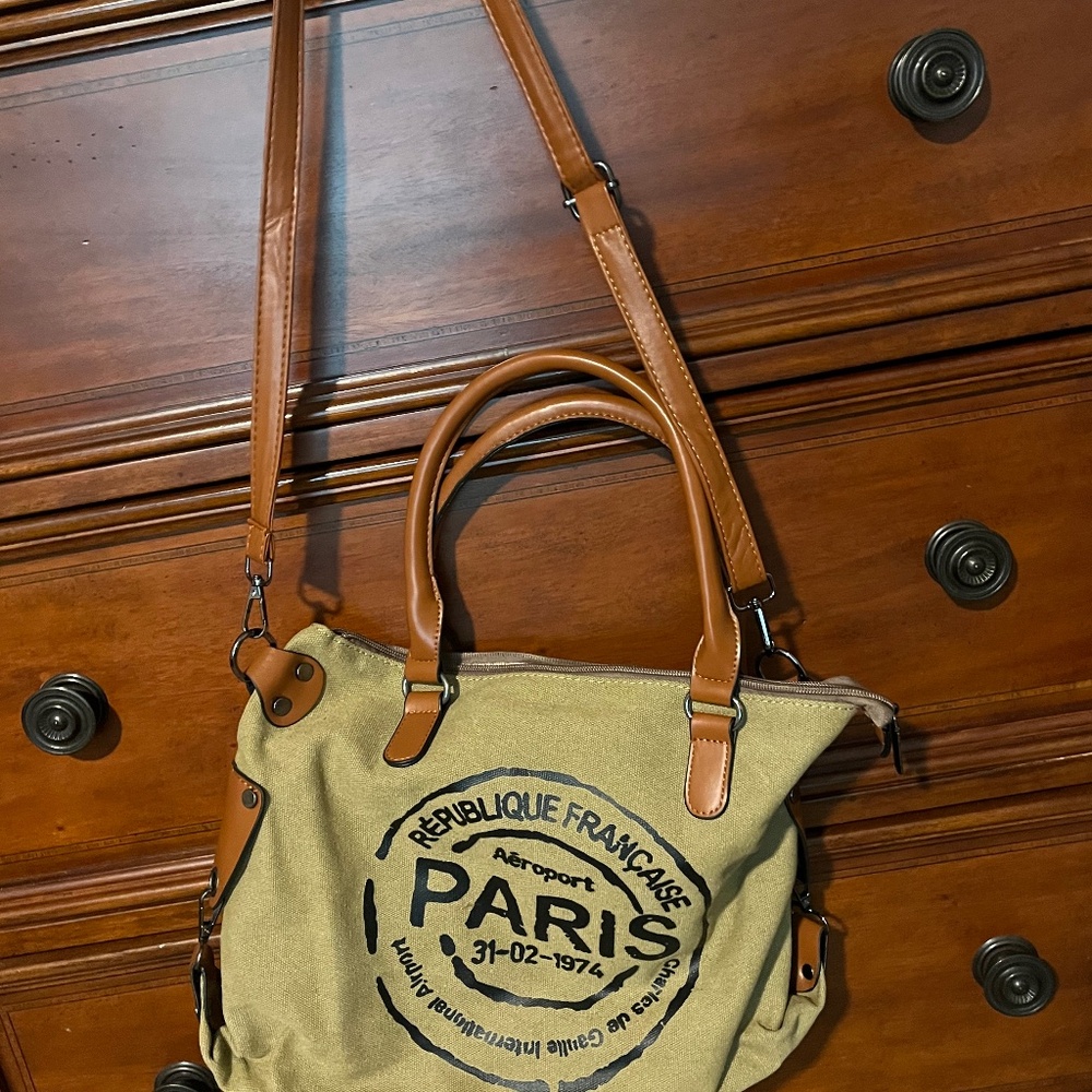 Paris feed bag purse